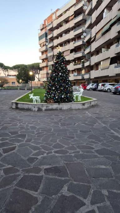 Cinecitta Vista Castelli Romani
